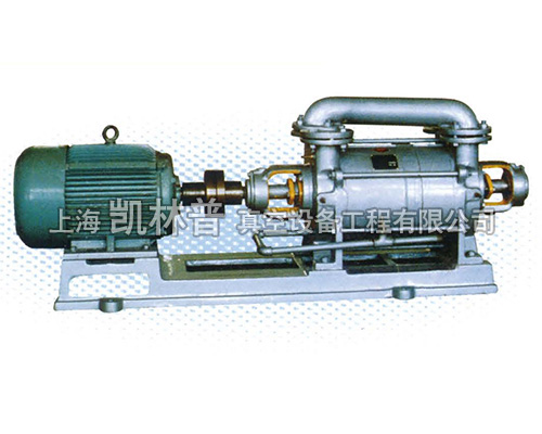 2SK,2SK-P1,2EK系列双级水环真空泵
